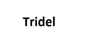 tridel-corporate-office-canada