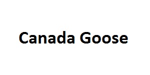 canada-goose-canada-head-office