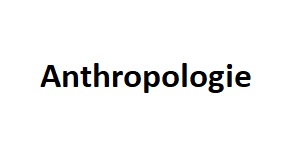 Anthropologie Head Office