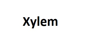 Xylem Corporate Office