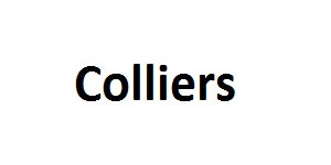 Colliers Corporate Office